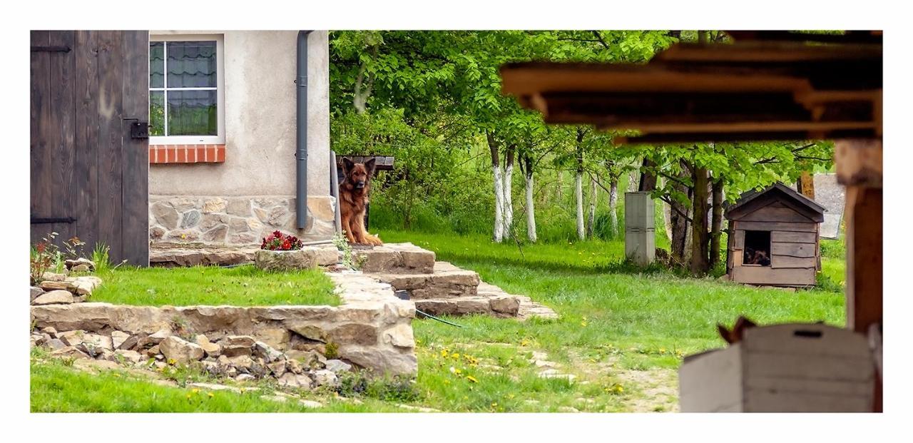 Kozy I Roze Villa Oldrzychowice Klodzkie Dış mekan fotoğraf