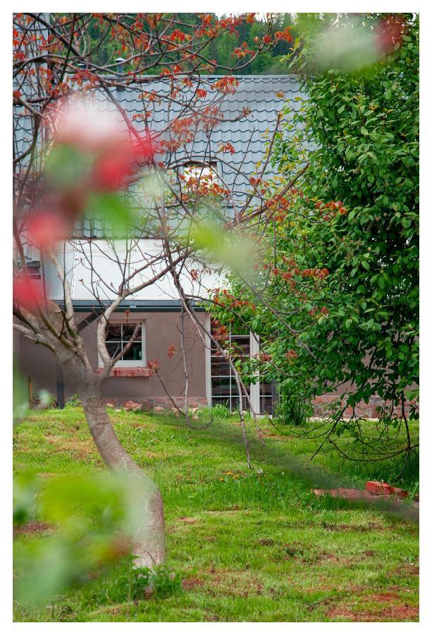 Kozy I Roze Villa Oldrzychowice Klodzkie Dış mekan fotoğraf