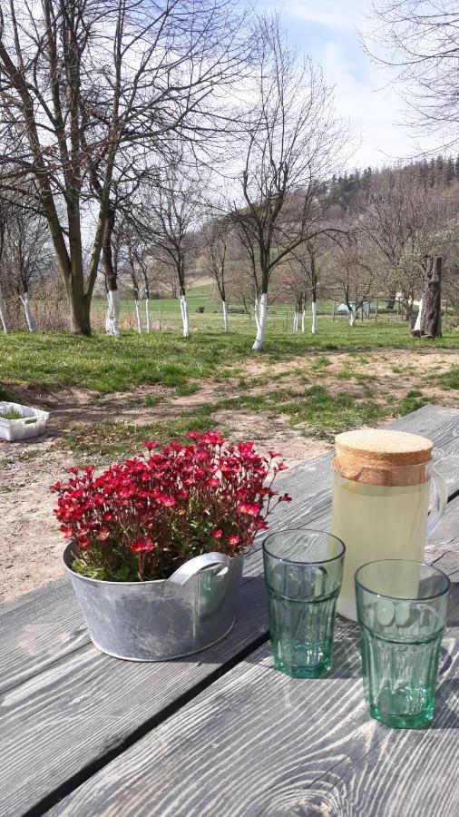 Kozy I Roze Villa Oldrzychowice Klodzkie Dış mekan fotoğraf