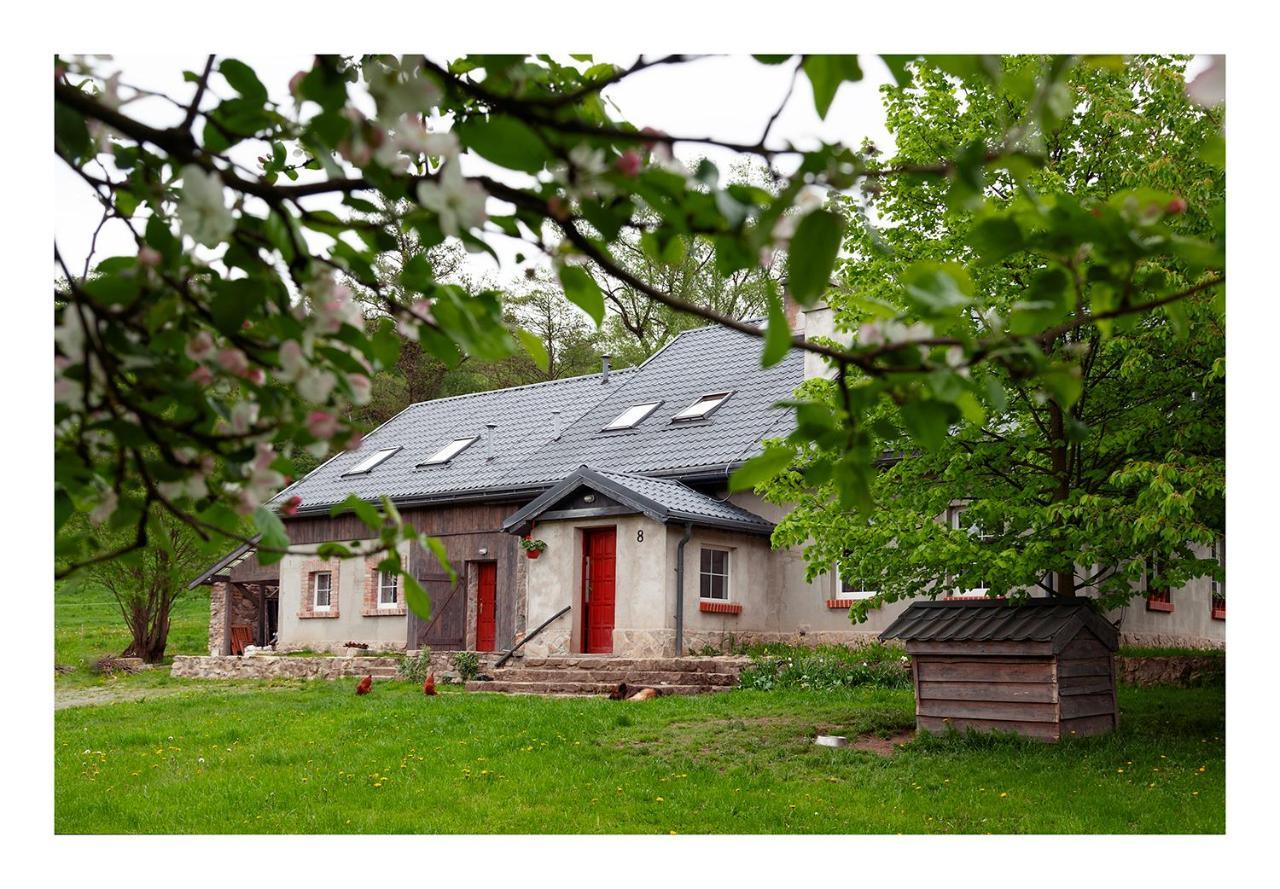 Kozy I Roze Villa Oldrzychowice Klodzkie Dış mekan fotoğraf